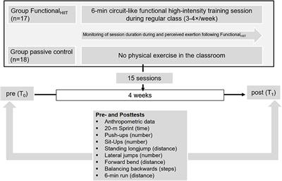 Classroom-Based Micro-Sessions of Functional High-Intensity Circuit Training Enhances Functional Strength but Not Cardiorespiratory Fitness in School Children—A Feasibility Study